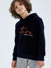 Худи DeFacto модель Y8920A6-NV250 Фото