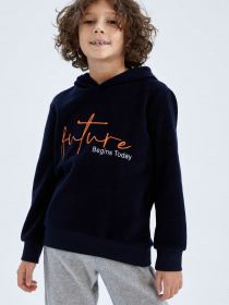 Худи DeFacto модель Y8920A6-NV250 Фото