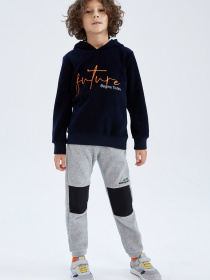 Худи DeFacto модель Y8920A6-NV250 Фото