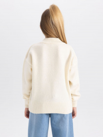 Джемпер DeFacto модель A6011A8-ER233 Фото