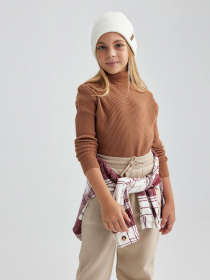 Водолазка DeFacto модель A6012A8-BN559 Фото