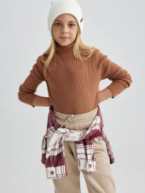 Водолазка DeFacto модель A6012A8-BN559 Фото