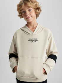 Худи DeFacto модель A6585A8-ER117 Фото