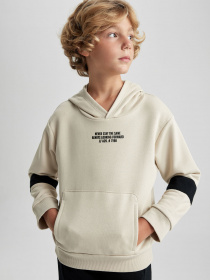 Худи DeFacto модель A6585A8-ER117 Фото