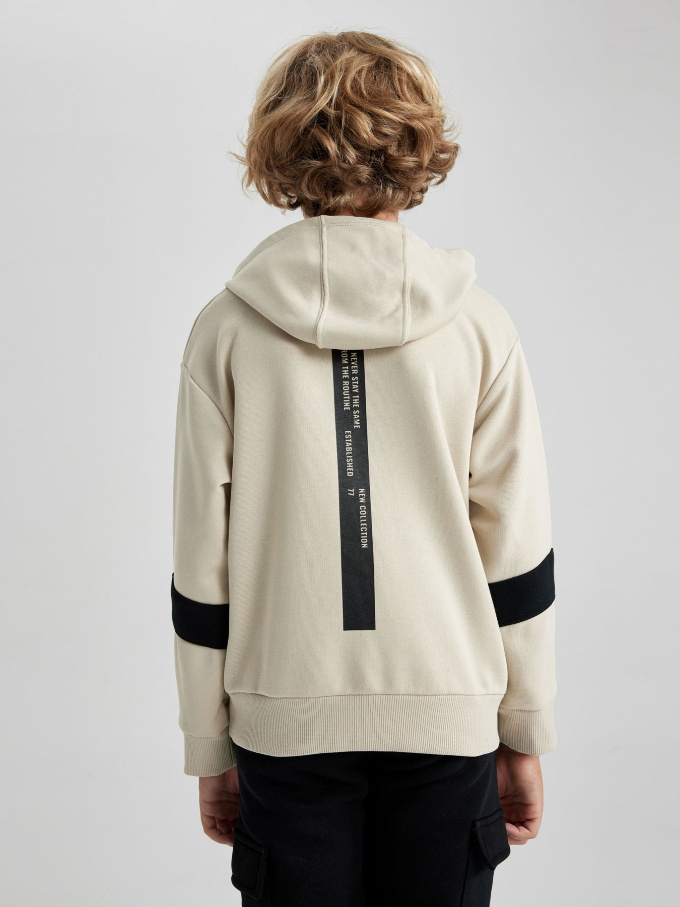 Худі DeFacto модель A6585A8-ER117 Фото