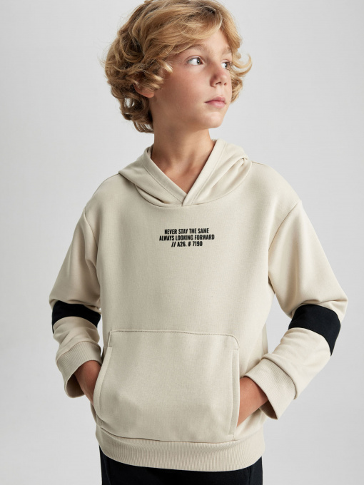 Худи DeFacto модель A6585A8-ER117 Фото