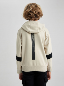 Худі DeFacto модель A6585A8-ER117 Фото