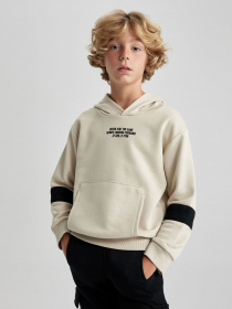 Худі DeFacto модель A6585A8-ER117 Фото