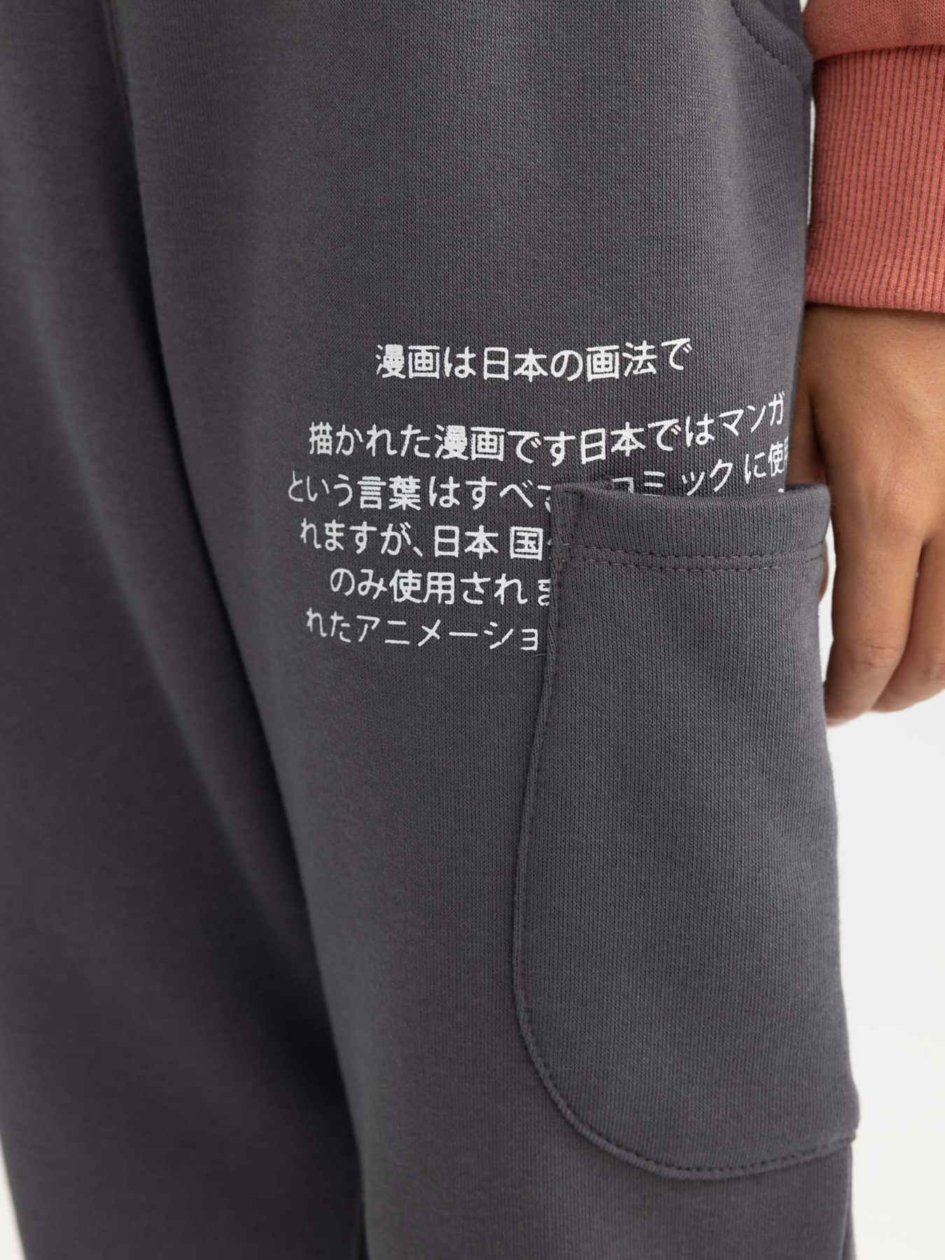 Джоггеры DeFacto модель A7286A8-AR58 Фото