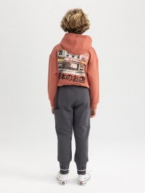 Джоггеры DeFacto модель A7286A8-AR58 Фото