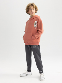 Джогери DeFacto модель A7286A8-AR58 Фото