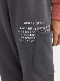 Джогери DeFacto модель A7286A8-AR58 Фото