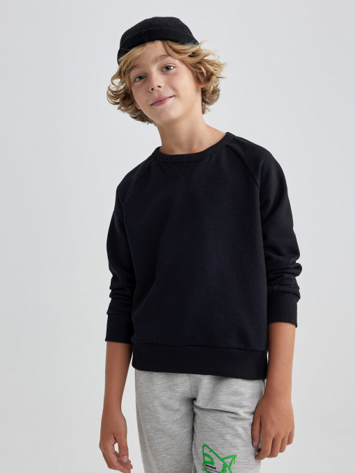 Світшот DeFacto Модель A9391A8-BK81 Фото