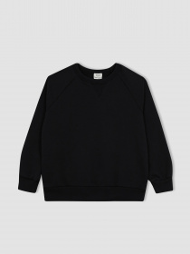 Свитшот DeFacto модель A9391A8-BK81 Фото