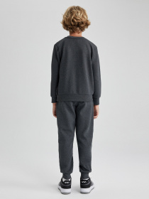 Повседневный костюм DeFacto модель B0402A8-AR163 Фото