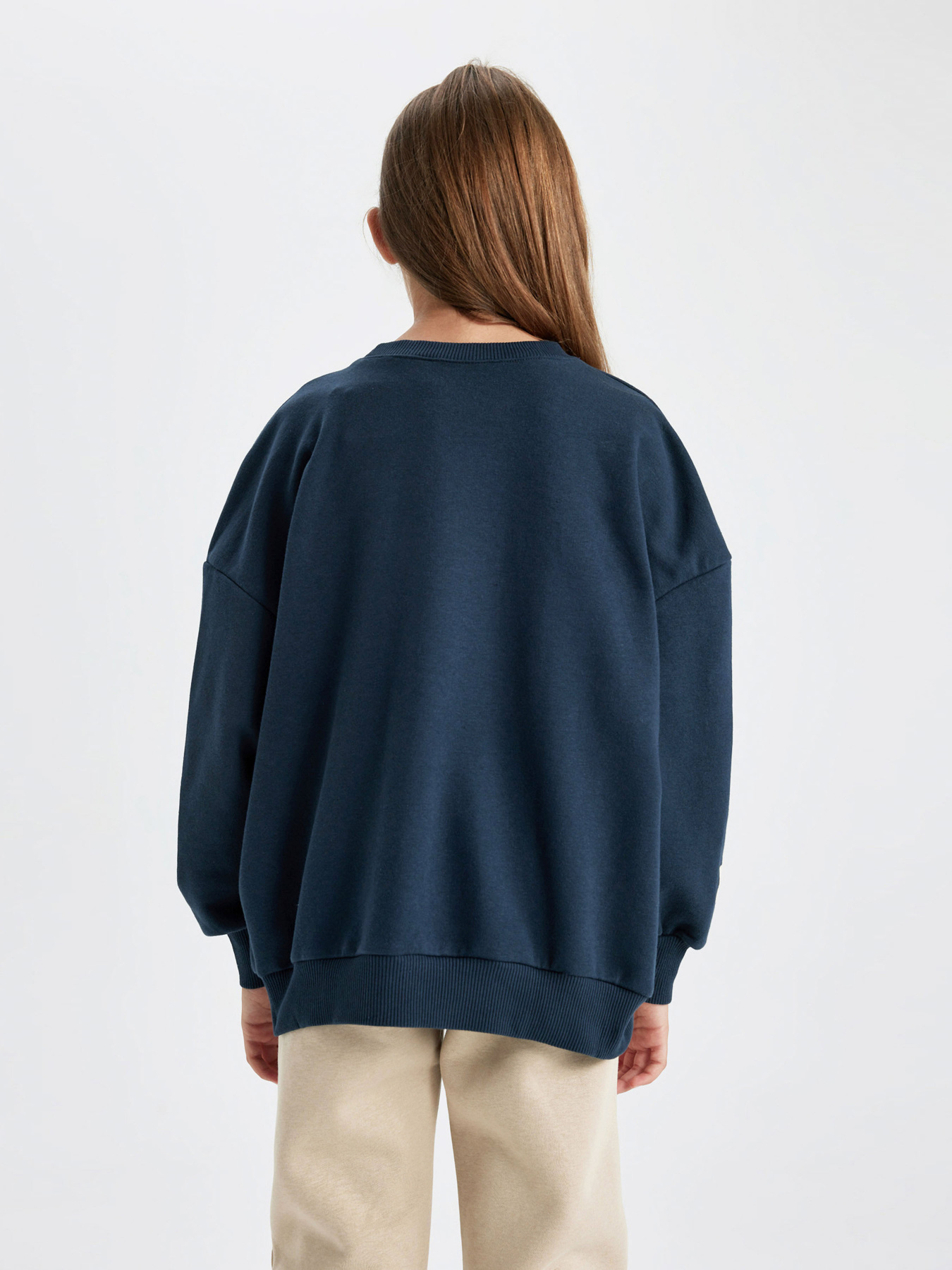 Свитшот DeFacto модель B1263A8-NV163 Фото