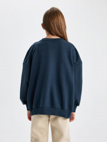 Свитшот DeFacto модель B1263A8-NV163 Фото