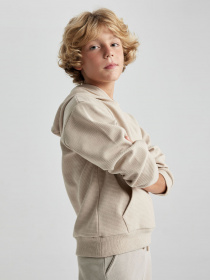 Худи DeFacto модель B2110A8-BG731 Фото