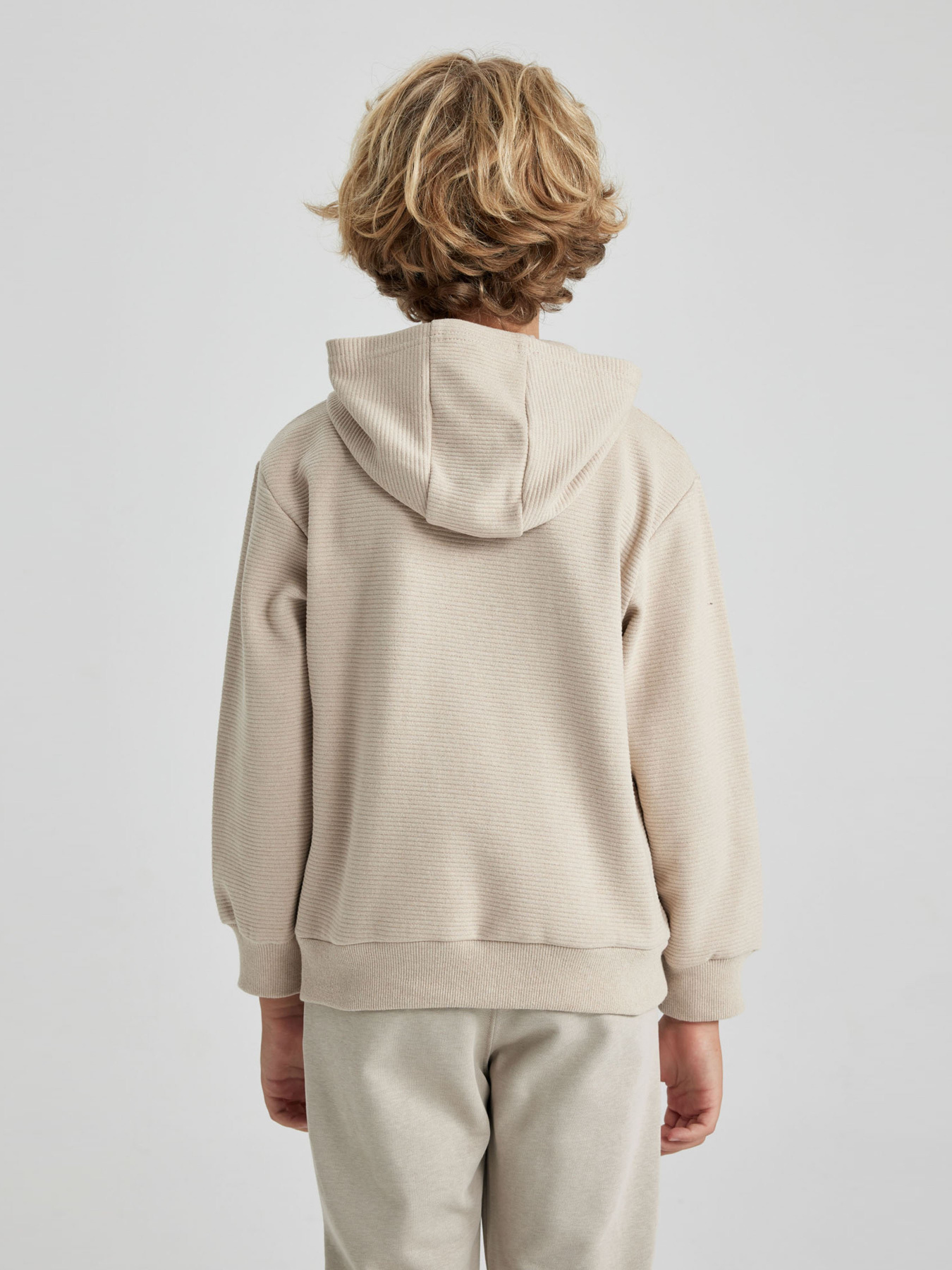 Худі DeFacto модель B2110A8-BG731 Фото