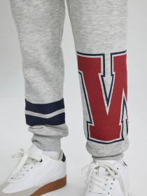 Джоггеры DeFacto модель B2235A8-GR210 Фото