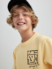 Свитшот DeFacto модель B2284A8-YL488 Фото