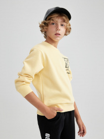 Свитшот DeFacto модель B2284A8-YL488 Фото