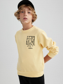 Свитшот DeFacto модель B2284A8-YL488 Фото