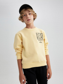 Свитшот DeFacto модель B2284A8-YL488 Фото