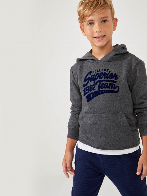 Світшот DeFacto модель S2371A6-GR228 Фото