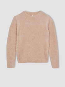 Джемпер DeFacto модель Y2640A6-PN47 Фото