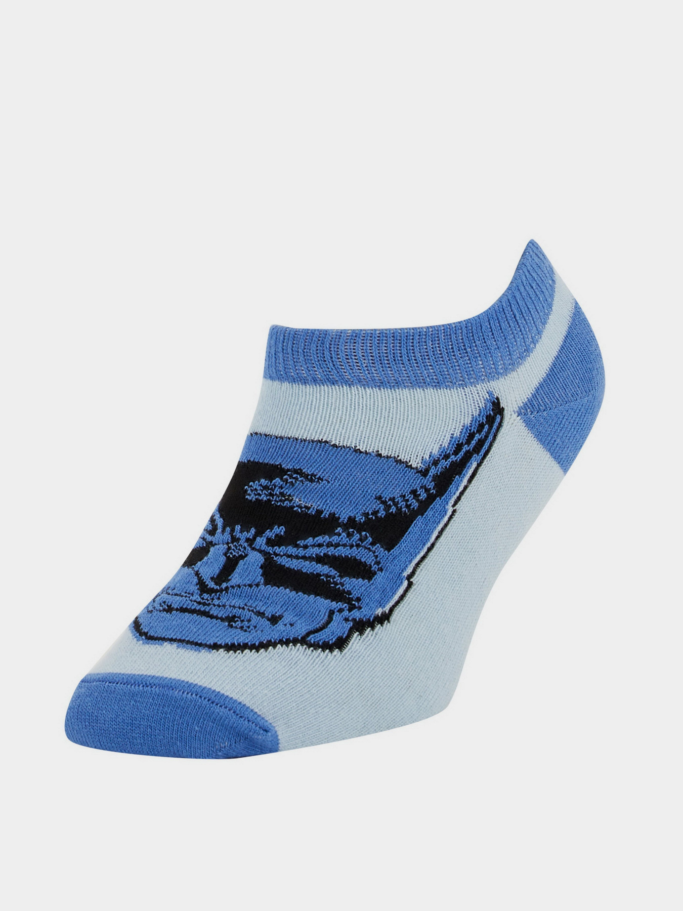 Набор носков DeFacto модель N8100A6-KR1 Фото