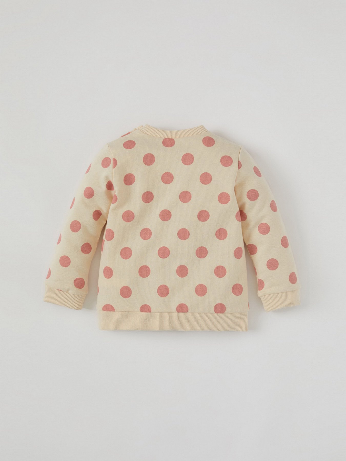 Свитшот DeFacto модель U7779A2-ER212 Фото