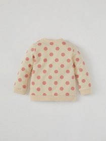 Свитшот DeFacto модель U7779A2-ER212 Фото