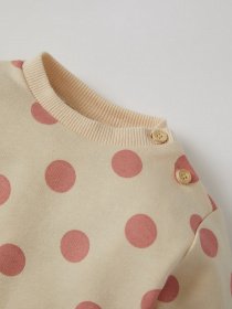 Свитшот DeFacto модель U7779A2-ER212 Фото