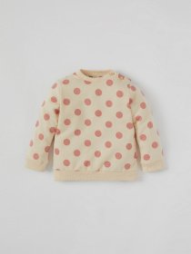 Свитшот DeFacto модель U7779A2-ER212 Фото