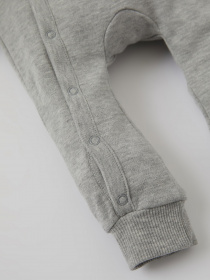 Боди для младенцев DeFacto модель T6607A2-GR399 Фото