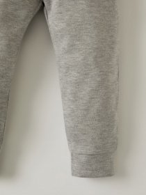 Спортивні штани DeFacto модель T6605A2-GR399 Фото