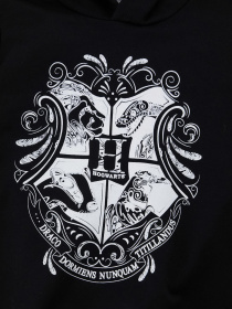 Худі DeFacto модель U6127A6-BK27 Фото