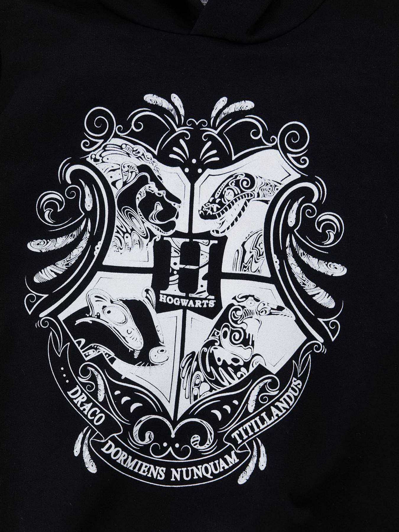 Худи DeFacto модель U6127A6-BK27 Фото