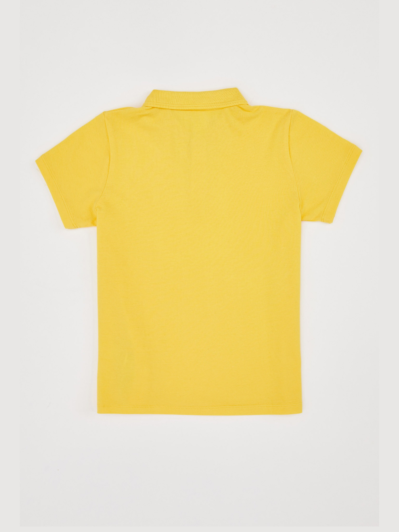 Поло DeFacto модель K1689A6-YL243 Фото