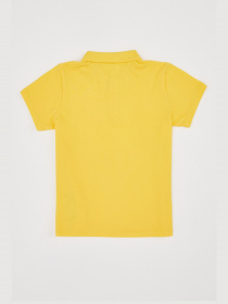 Поло DeFacto модель K1689A6-YL243 Поло DeFacto модель K1689A6-YL243 Фото