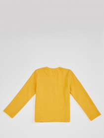 Світшот DeFacto модель R2047A6-YL52 Фото