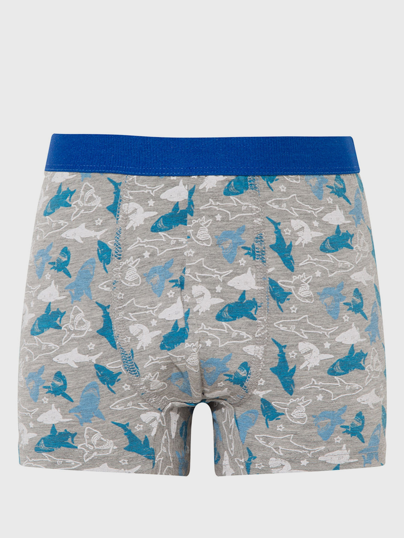 Набор трусов DeFacto модель N9795A6-NV42 Фото