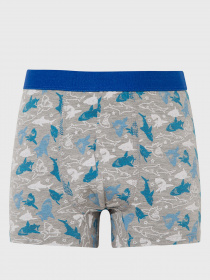 Набор трусов DeFacto модель N9795A6-NV42 Фото