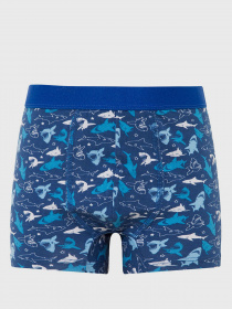 Набір трусів DeFacto модель N9795A6-NV42 Фото