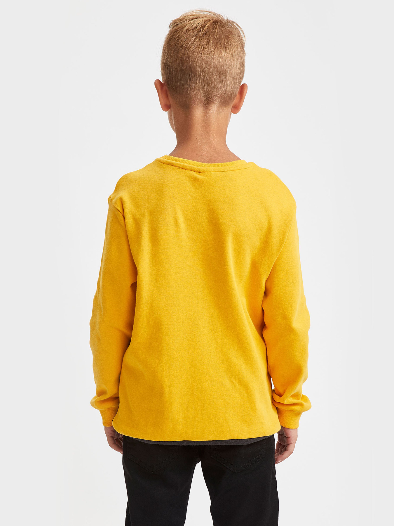 Свитшот DeFacto модель S0032A6-YL43 Фото