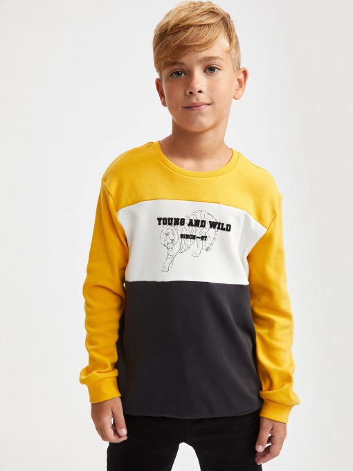 Свитшот DeFacto модель S0032A6-YL43 Фото