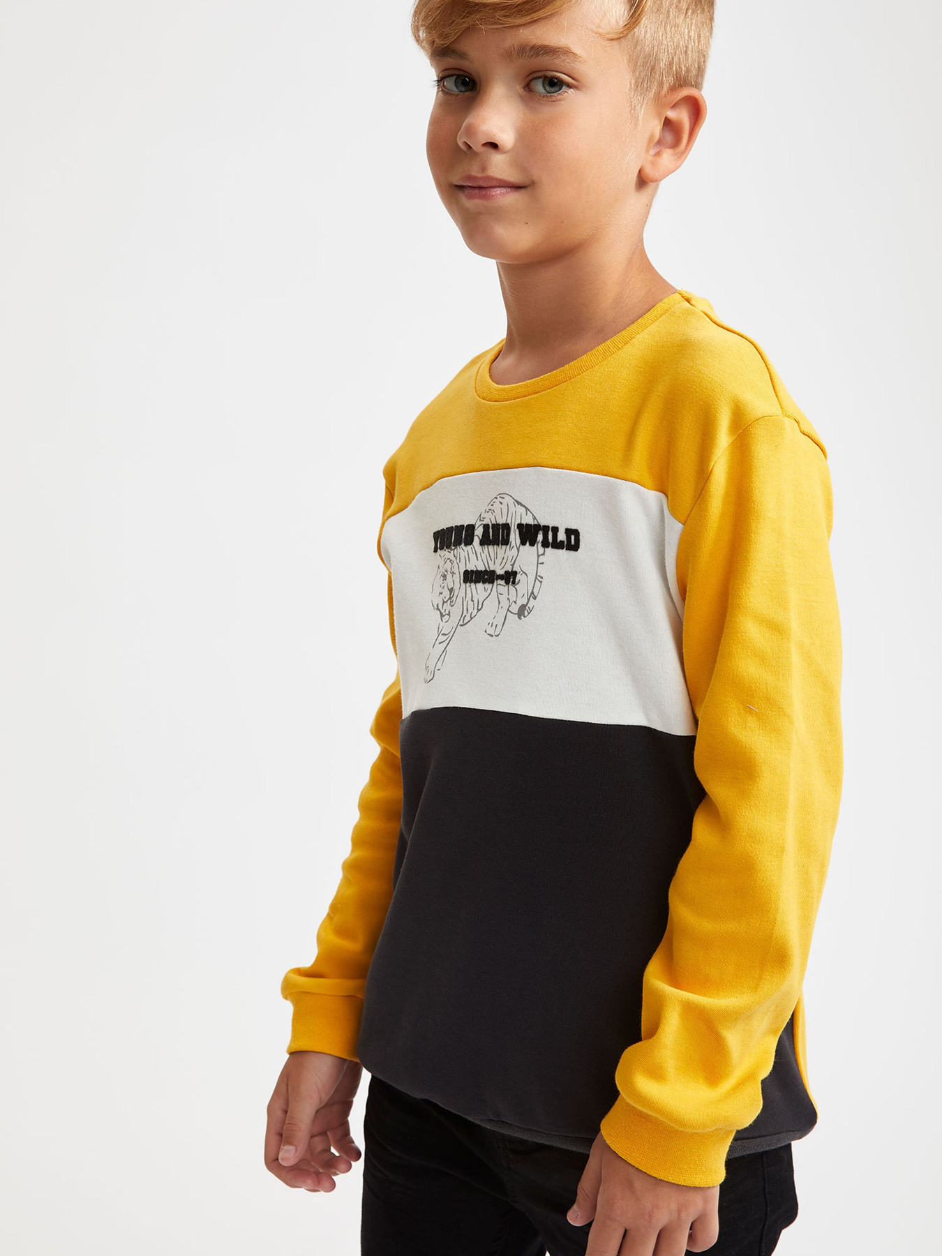 Свитшот DeFacto модель S0032A6-YL43 Фото