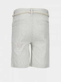 Повседневные шорты DeFacto модель V2498A6-ER109 Фото