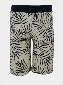 Шорты DeFacto модель U4623A6-BG662 Фото